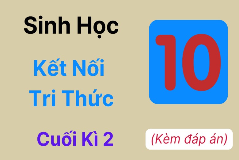 Bộ 23 Đề thi Sinh học 10 Kết Nối Tri Thức cuối kì 2 (Kèm đáp án)